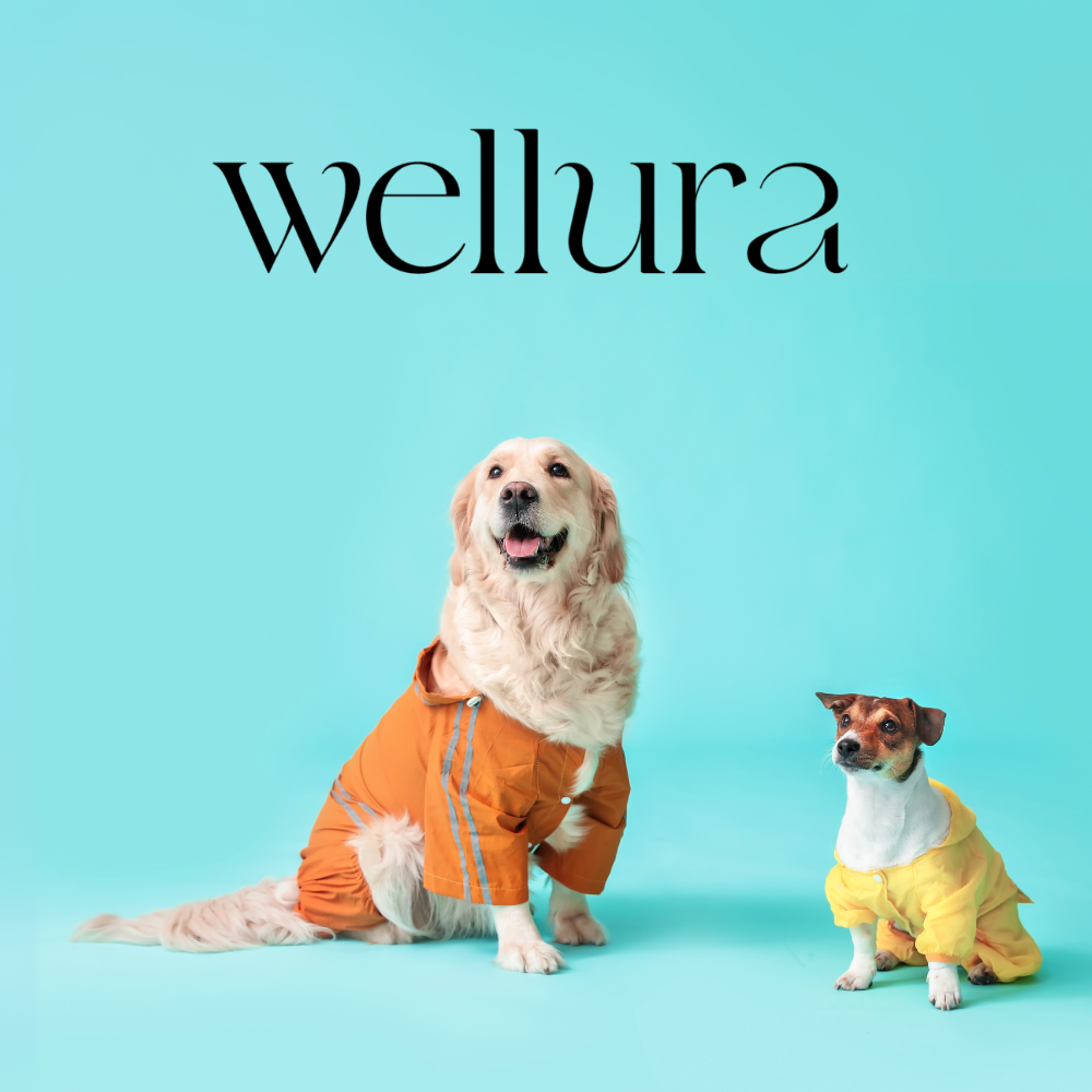 Pet Wellness
